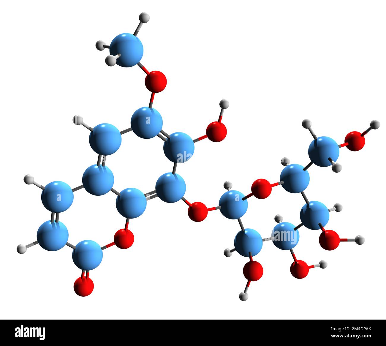 Fraxin Fotos und Bildmaterial in hoher Auflösung Alamy