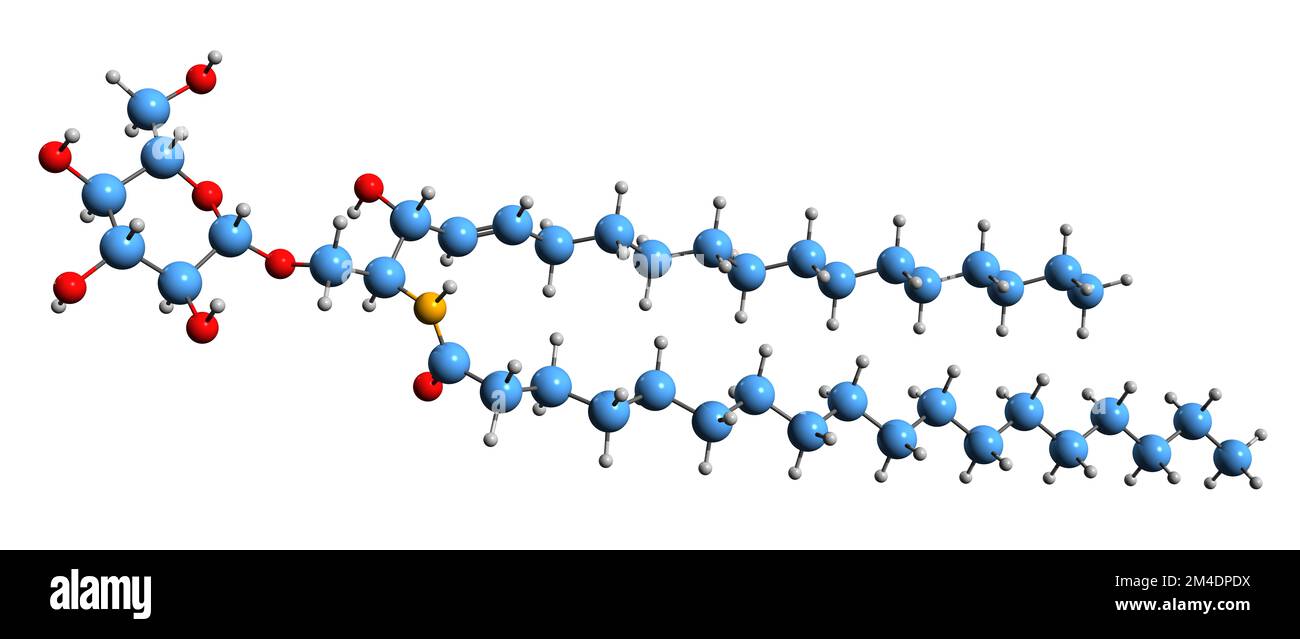 3D-Bild von Cerebrosid A-Skelettformel - molekularchemische Struktur des auf weißem Hintergrund isolierten Glykosphingolipids Stockfoto