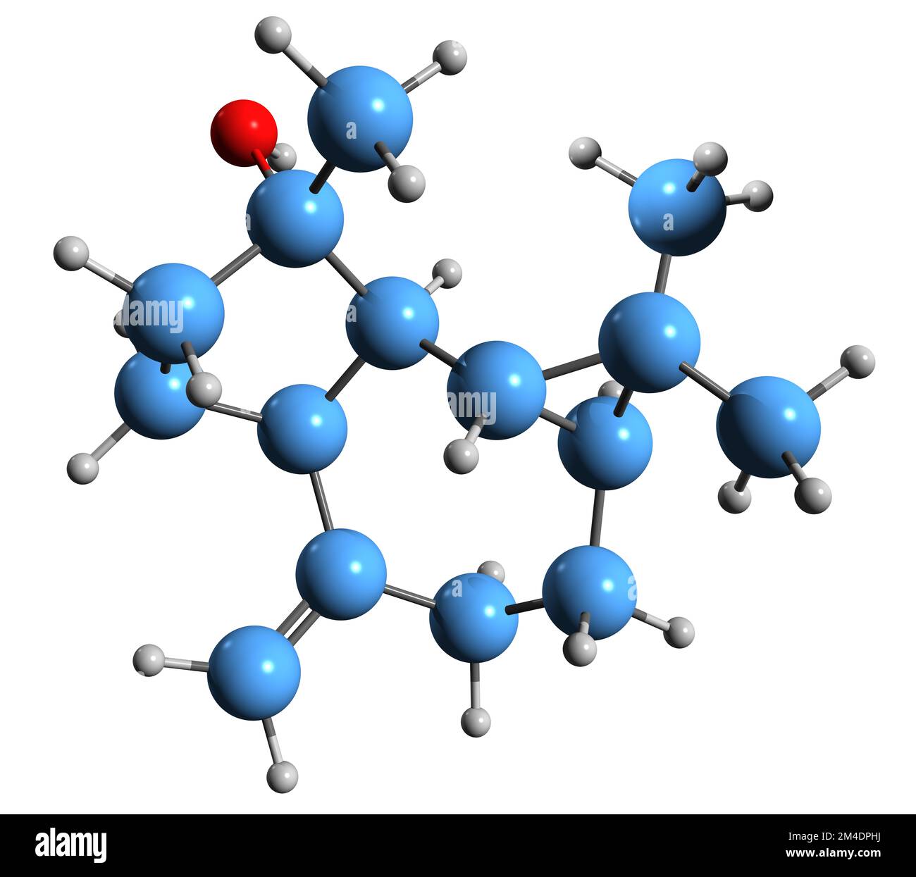 3D-Bild der Spathulenol-Skelettformel - molekularchemische Struktur von trizyklischem Sesquiterpenalkohol isoliert auf weißem Hintergrund Stockfoto