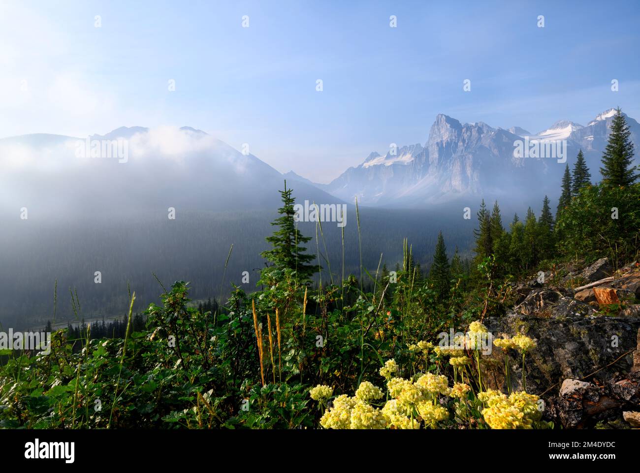 Moraine Creek Valley Stockfoto