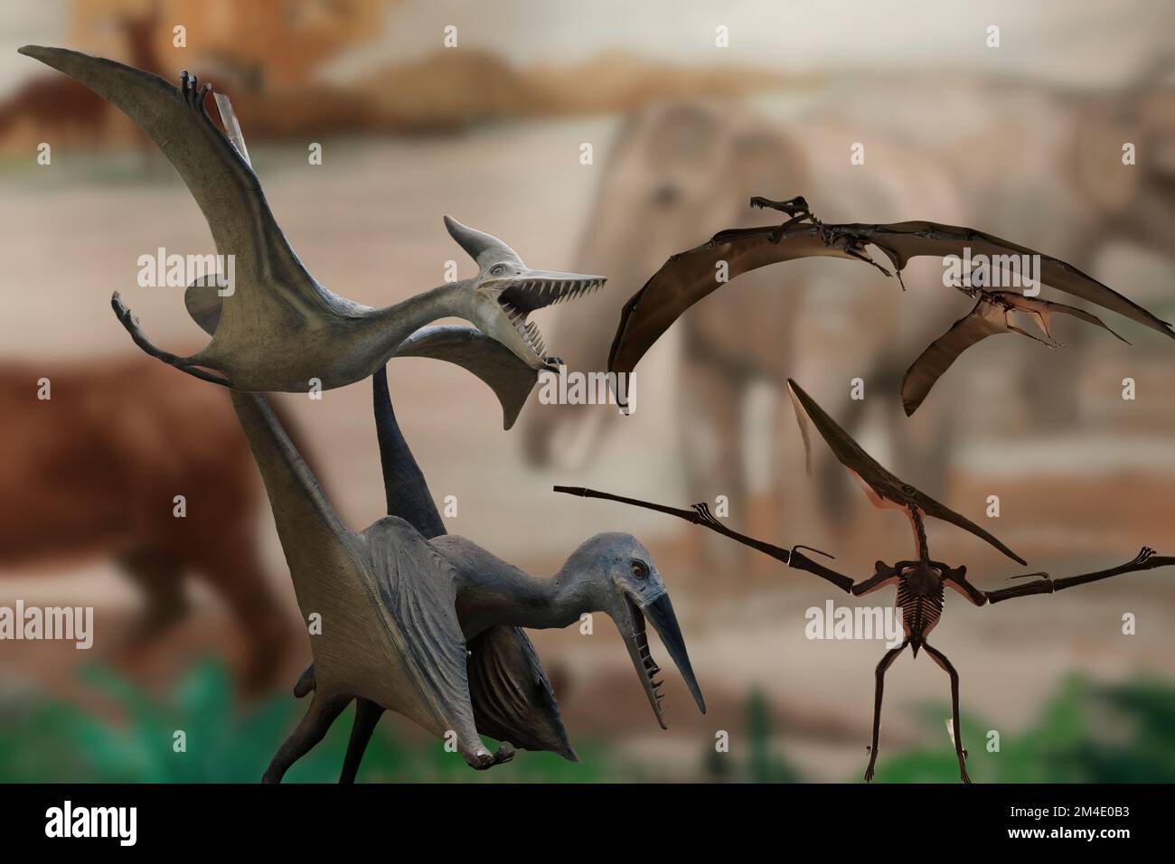 Flugsaurier Stockfoto