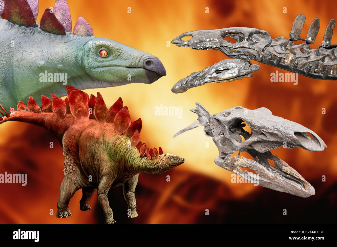 Stegosaurus Stockfoto