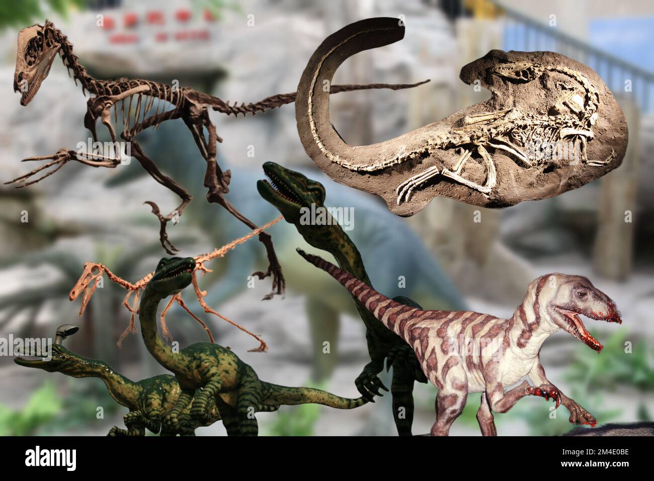 Velociraptor Stockfoto