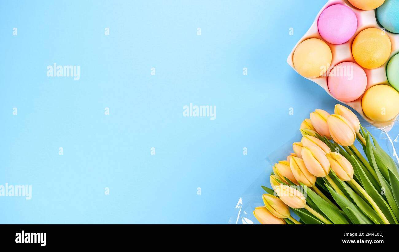 Frühlingsdecke mit frischen gelben Tulpen farbenfrohe Eier auf blauem Hintergrund. Ostern, Muttertag, Geburtstag oder Jubiläum mit Kopierraum. Süßer Regenbogen Stockfoto