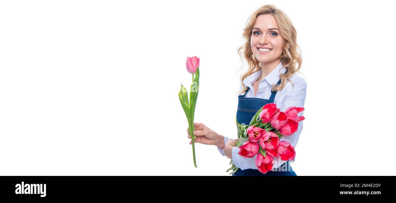 Eine glückliche junge Frau in der Schürze hält Frühlings-Tulpenblüten isoliert auf weißem Hintergrund. Frau Einzelgesichtsporträt, Banner mit Musterkopie. Stockfoto