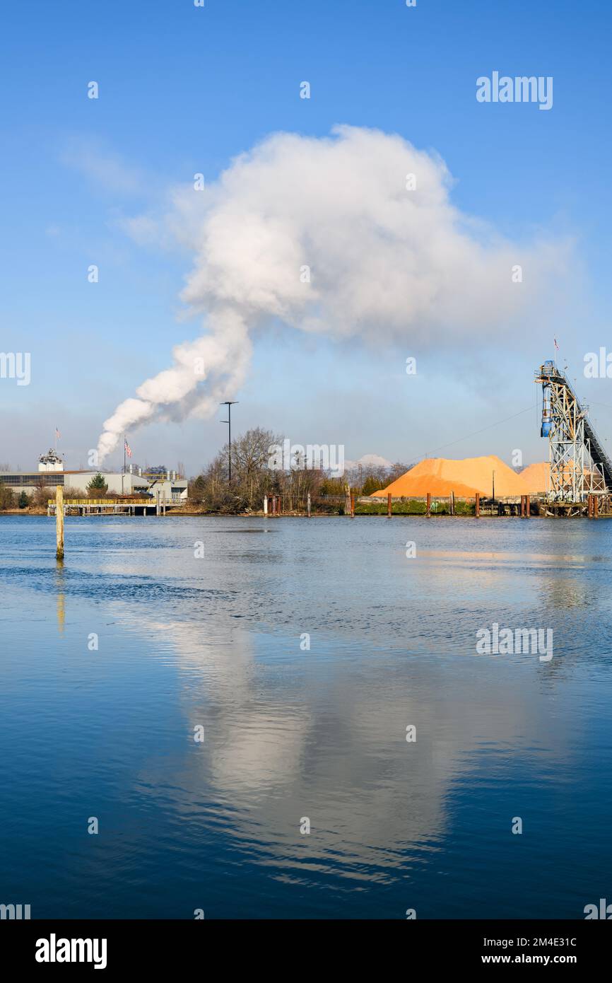 Industrielle Szene am Flussufer, während der Dampf aus der Holzverarbeitungsanlage steigt und sich im Wasser spiegelt Stockfoto
