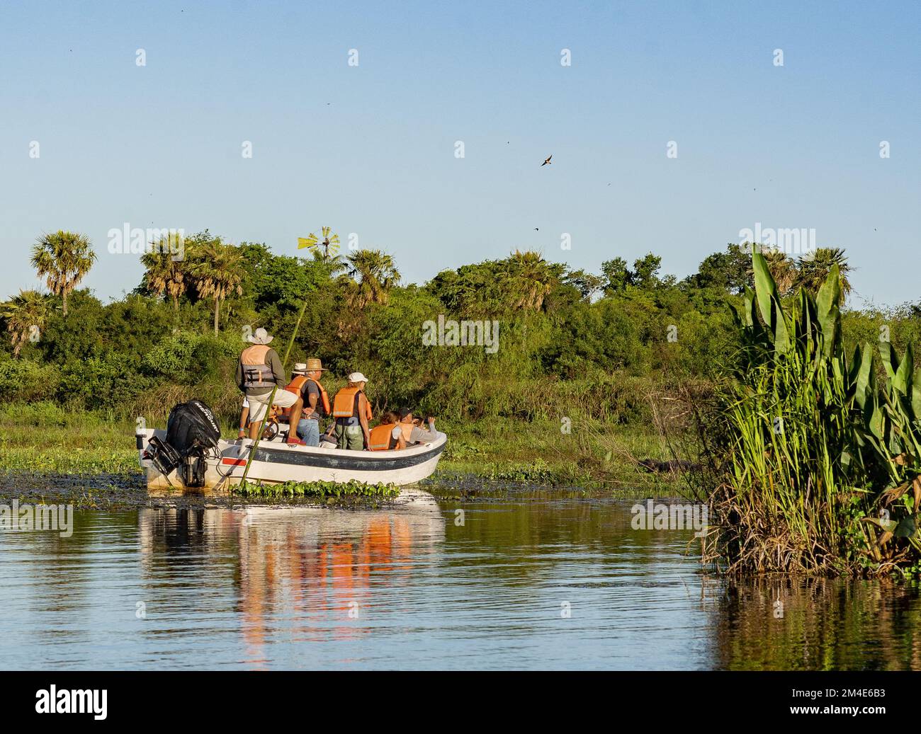 COLONIA CARLOS PELLEGRINI, CORRIENTES, ARGENTINIEN - 19. NOVEMBER 2021: Eine Gruppe von Touristen mit einem ortskundigen Reiseleiter beobachten die einheimische Tierwelt in Ibera Stockfoto