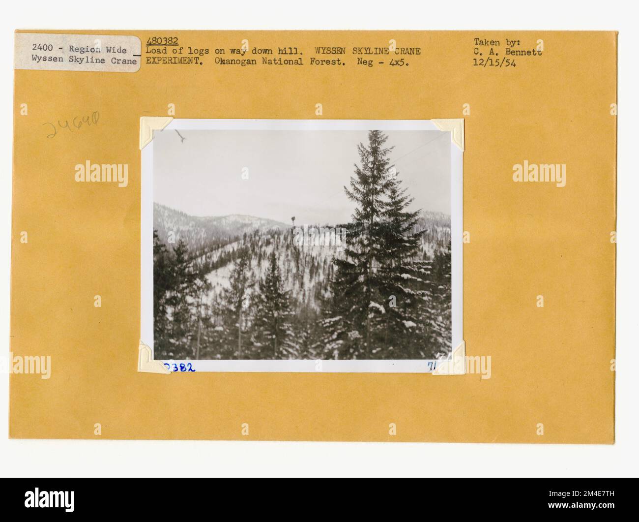 Schnitt Löschen - Streifen. Fotografien zu National Forests, Resource Management Practices, Personal sowie Kultur- und Wirtschaftsgeschichte Stockfoto