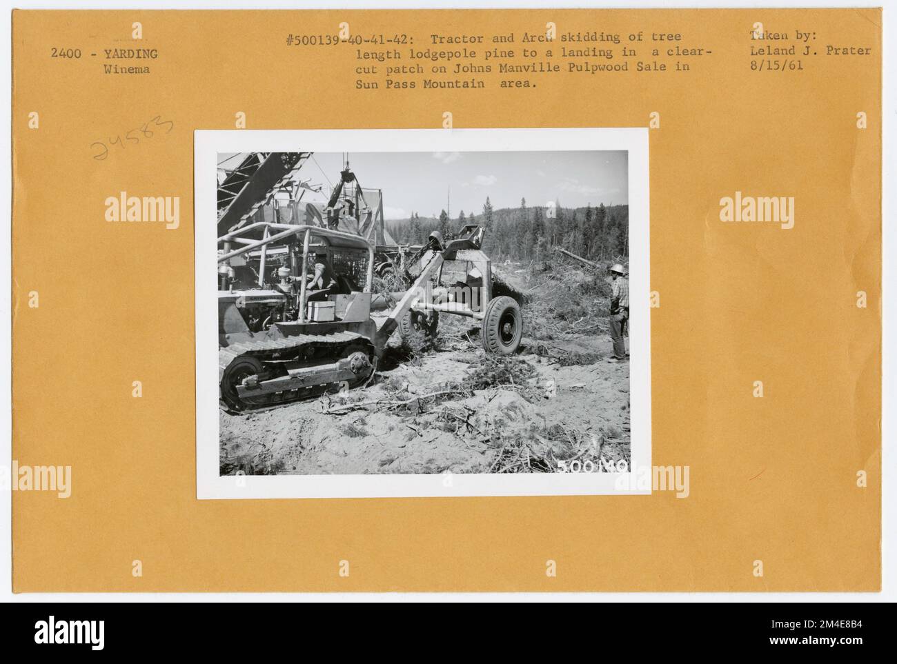 Schleudern Von Holzstapeln Mit Hohem Vorsprung: Allgemein. Fotografien zu National Forests, Resource Management Practices, Personal sowie Kultur- und Wirtschaftsgeschichte Stockfoto Schleudern Von Holzstapeln Mit Hohem Vorsprung: Allgemein. Fotografien zu National Forests, Resource Management Practices, Personal sowie Kultur- und Wirtschaftsgeschichte Stockfoto