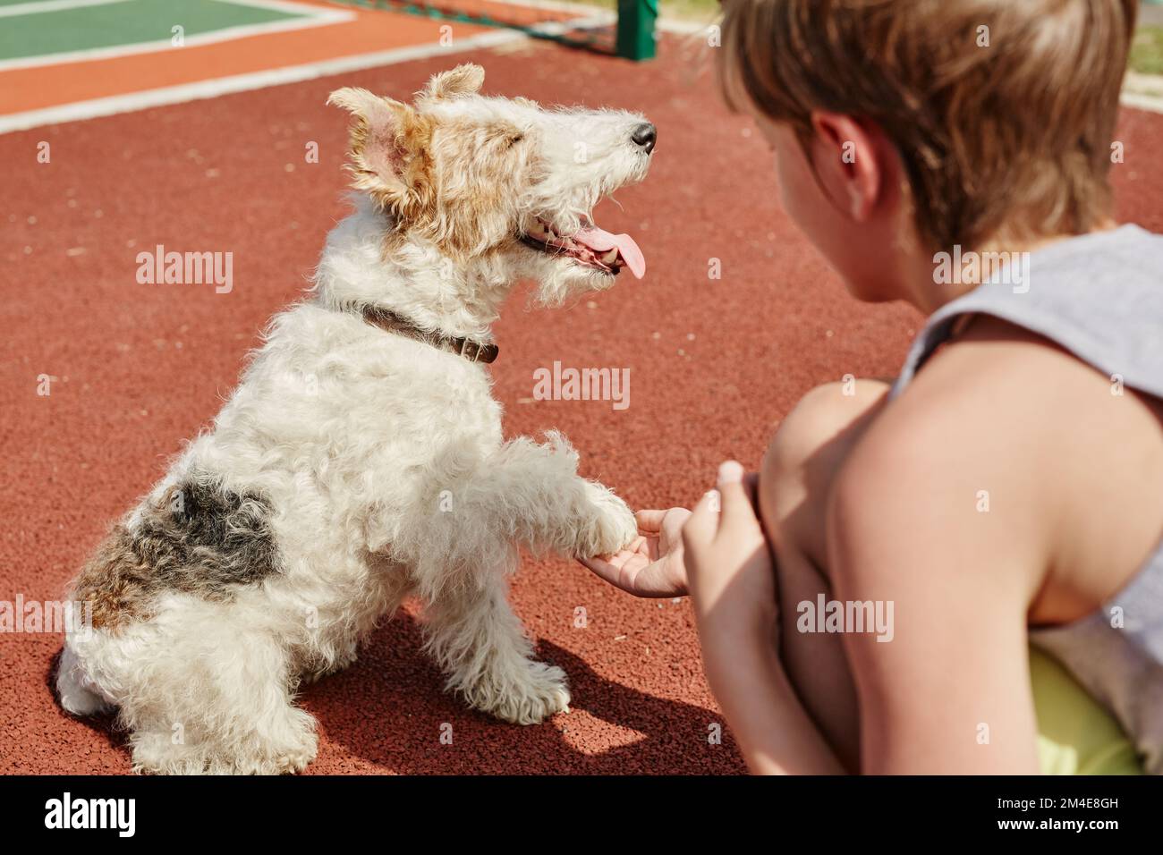 Nahaufnahme eines Jungen, der mit einem süßen kleinen Hund im Sonnenlicht draußen spielt und eine Pfote gibt Stockfoto