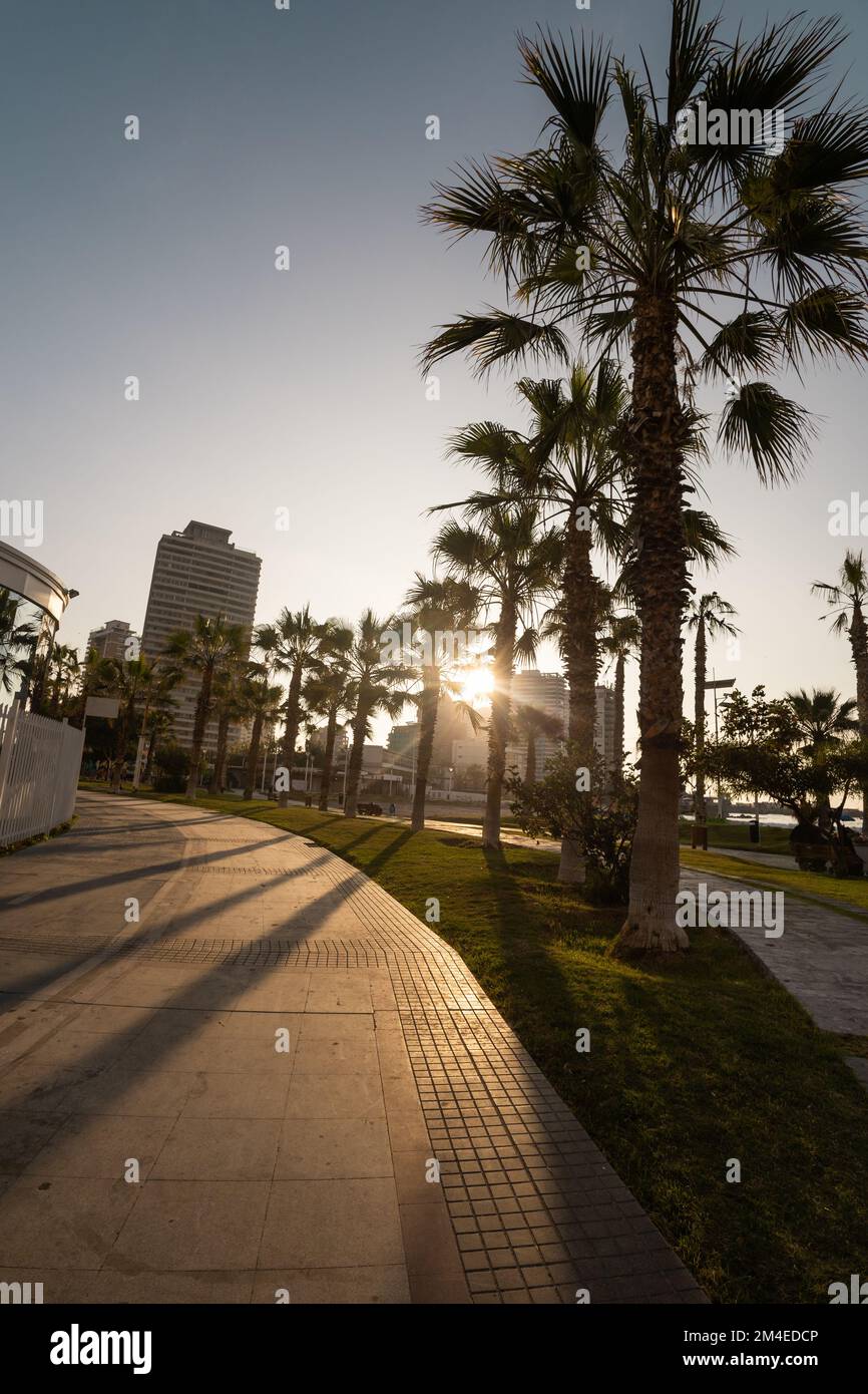 Sonnenuntergang auf der Straße einer Stadt, die mit Palmen dekoriert ist, und in den Hintergrundgebäuden, moderner Architektur und Landschaft mit Tapeten Stockfoto