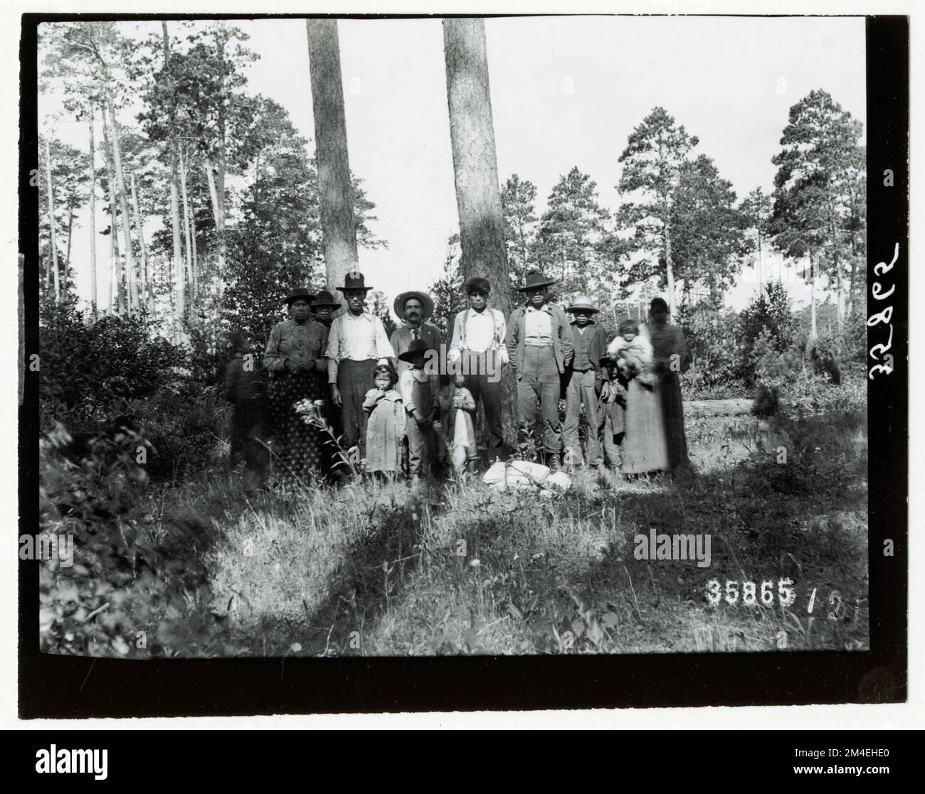 Gruppen: Allgemein. Fotografien zu National Forests, Resource Management Practices, Personal sowie Kultur- und Wirtschaftsgeschichte Stockfoto