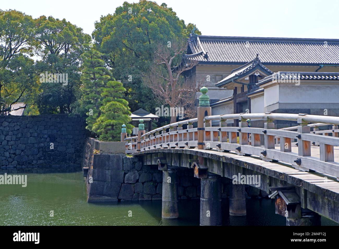 Die japanische Burg, Bauwerk, Holzbrücke mit Fluss und Kiefern im Frühling Stockfoto