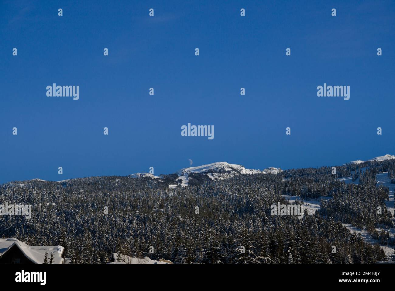 Berg und wachsender weißer Mond. Winterberglandschaft - Nadelwald bedeckt mit Schnee, klarem Himmel, Skipisten auf dem Berg Stockfoto