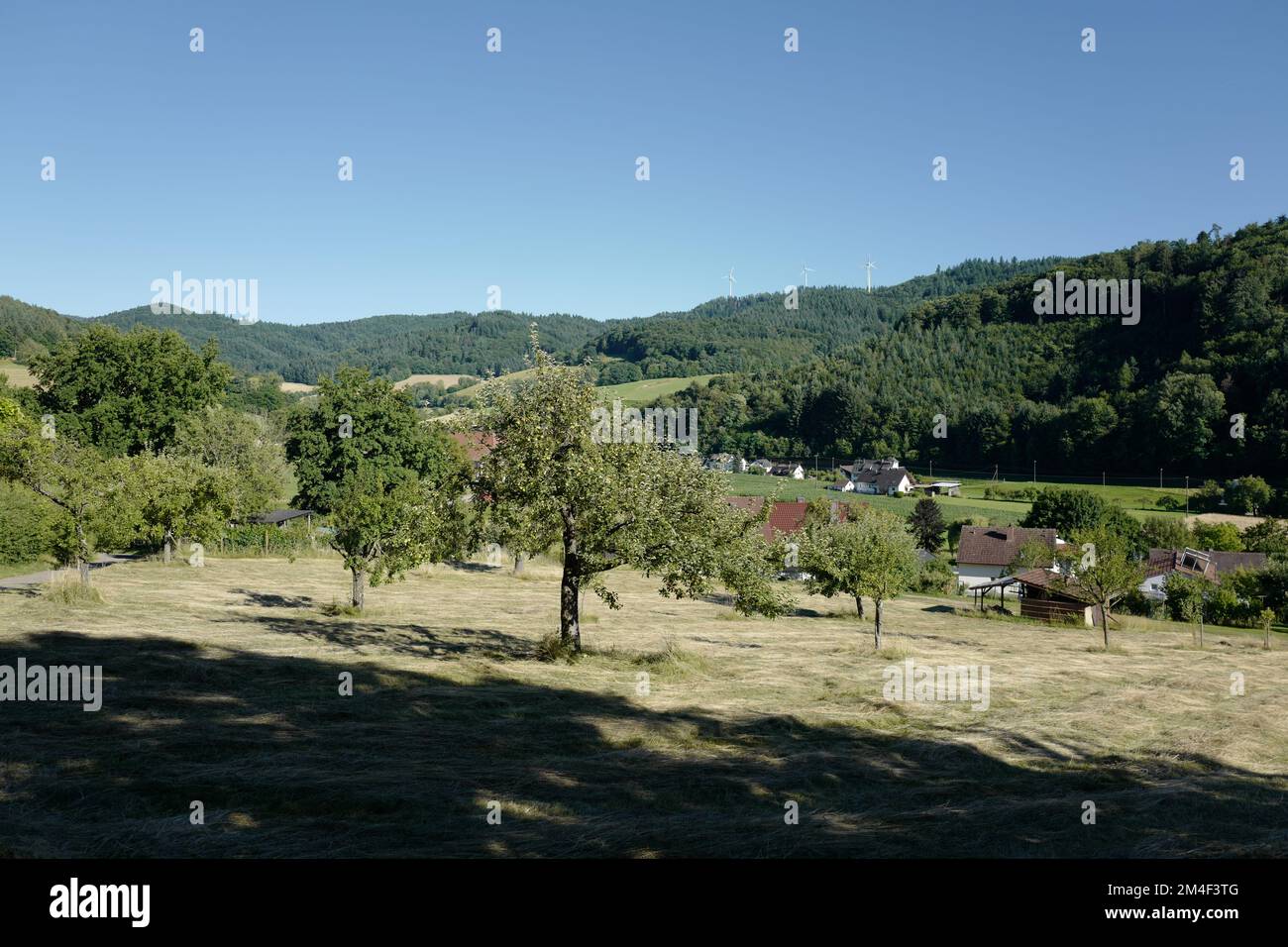 Ein Dorf am Fuße des Schwarzwalds Stockfoto