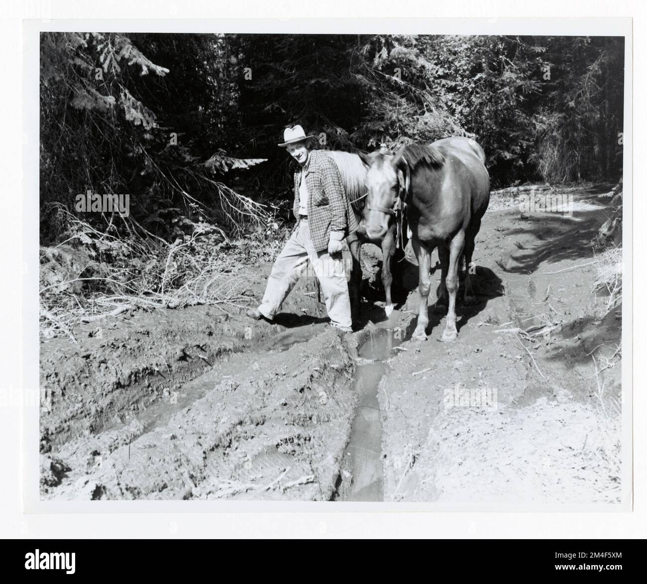 Schäden An Der Spur - Alle Zustände. Fotografien zu National Forests, Resource Management Practices, Personal sowie Kultur- und Wirtschaftsgeschichte Stockfoto