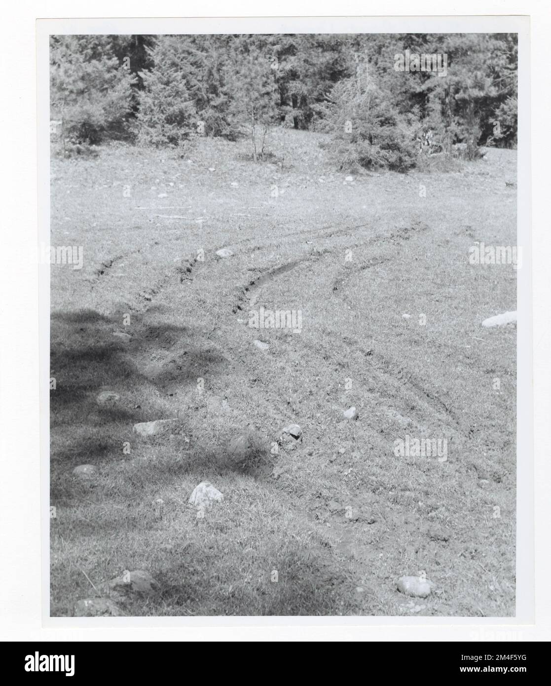 Schäden An Der Spur - Alle Zustände. Fotografien zu National Forests, Resource Management Practices, Personal sowie Kultur- und Wirtschaftsgeschichte Stockfoto