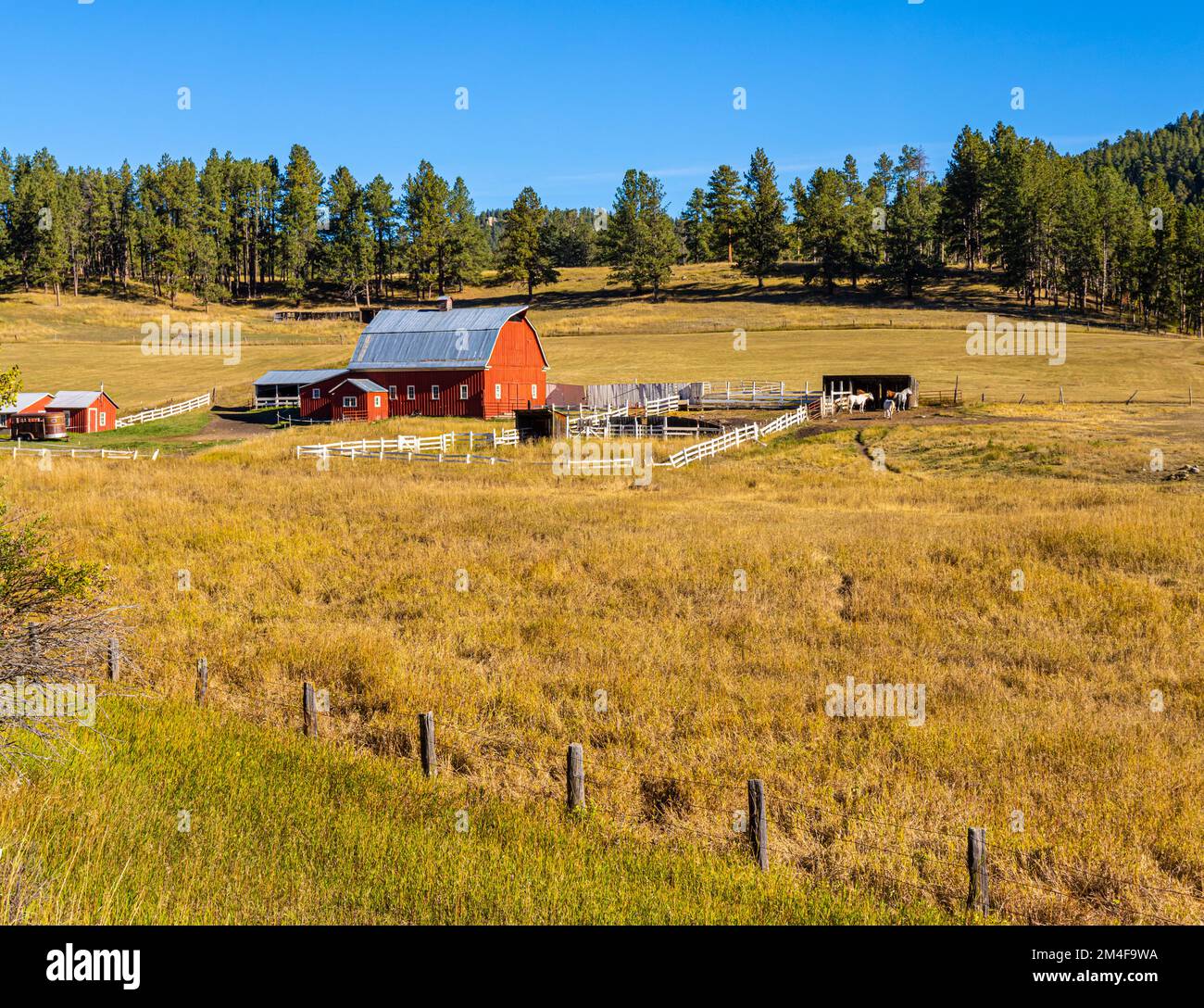 Red Barn in Country bei Nemo, South Dakota, USA Stockfoto