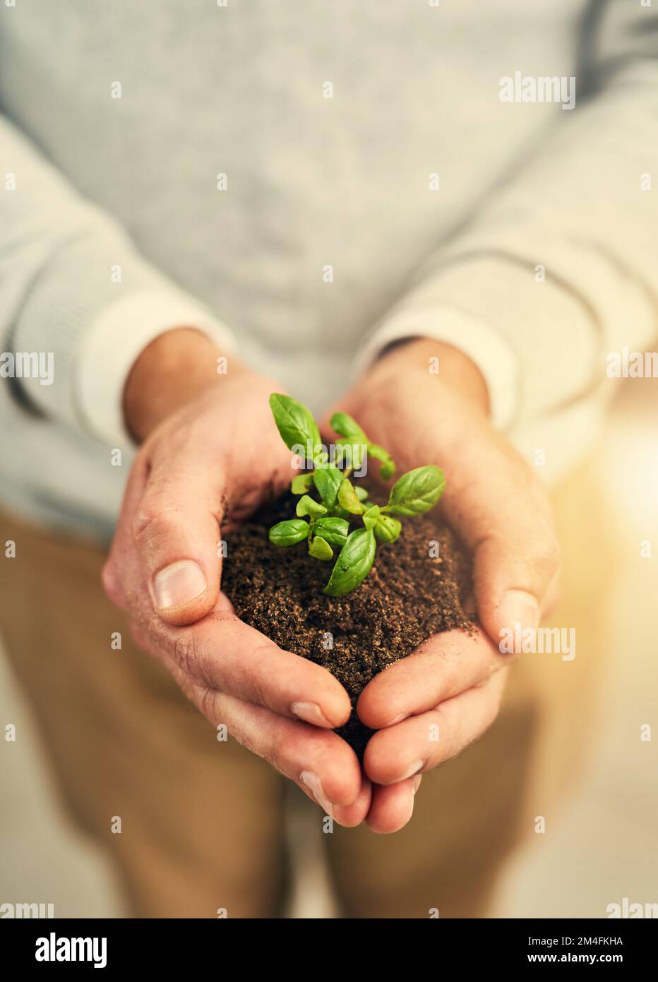 Etwas großartiges anzubauen. Ein Geschäftsmann, der eine Pflanze in der Hand hat, die aus dem Boden wächst. Stockfoto