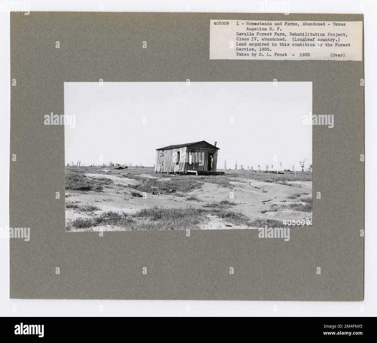 Homesteads - Texas. Fotografien zu National Forests, Resource Management Practices, Personal sowie Kultur- und Wirtschaftsgeschichte Stockfoto