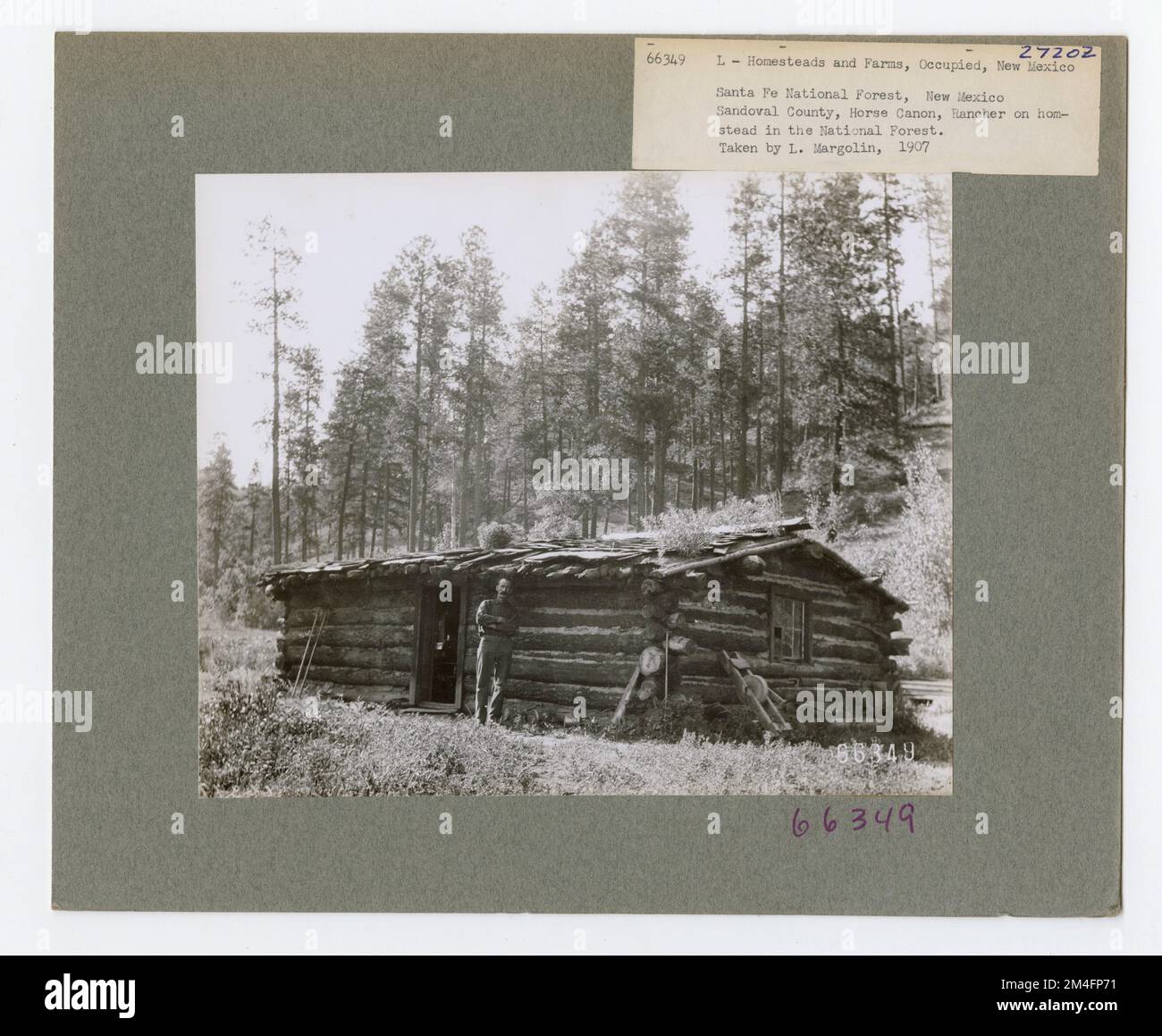 Homesteads - New Mexico. Fotografien zu National Forests, Resource Management Practices, Personal sowie Kultur- und Wirtschaftsgeschichte Stockfoto