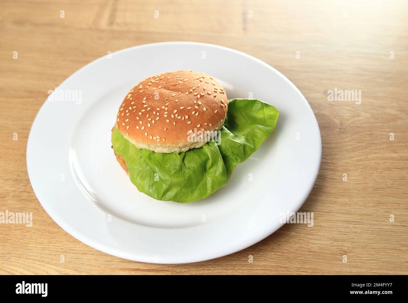 Köstlicher Hamburger auf weißem Teller. Foto mit Kopierbereich Stockfoto