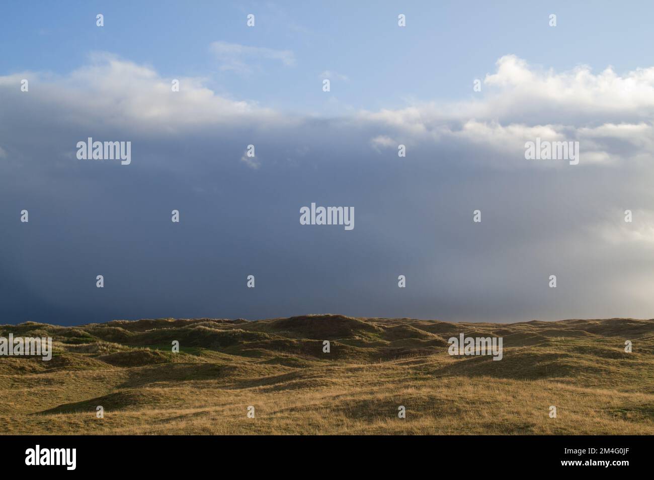 Dünen, die aufgrund von Stickstoffablagerungen, niedrigem Horizont und dunklen Wolken von Gras überwuchert wurden Stockfoto