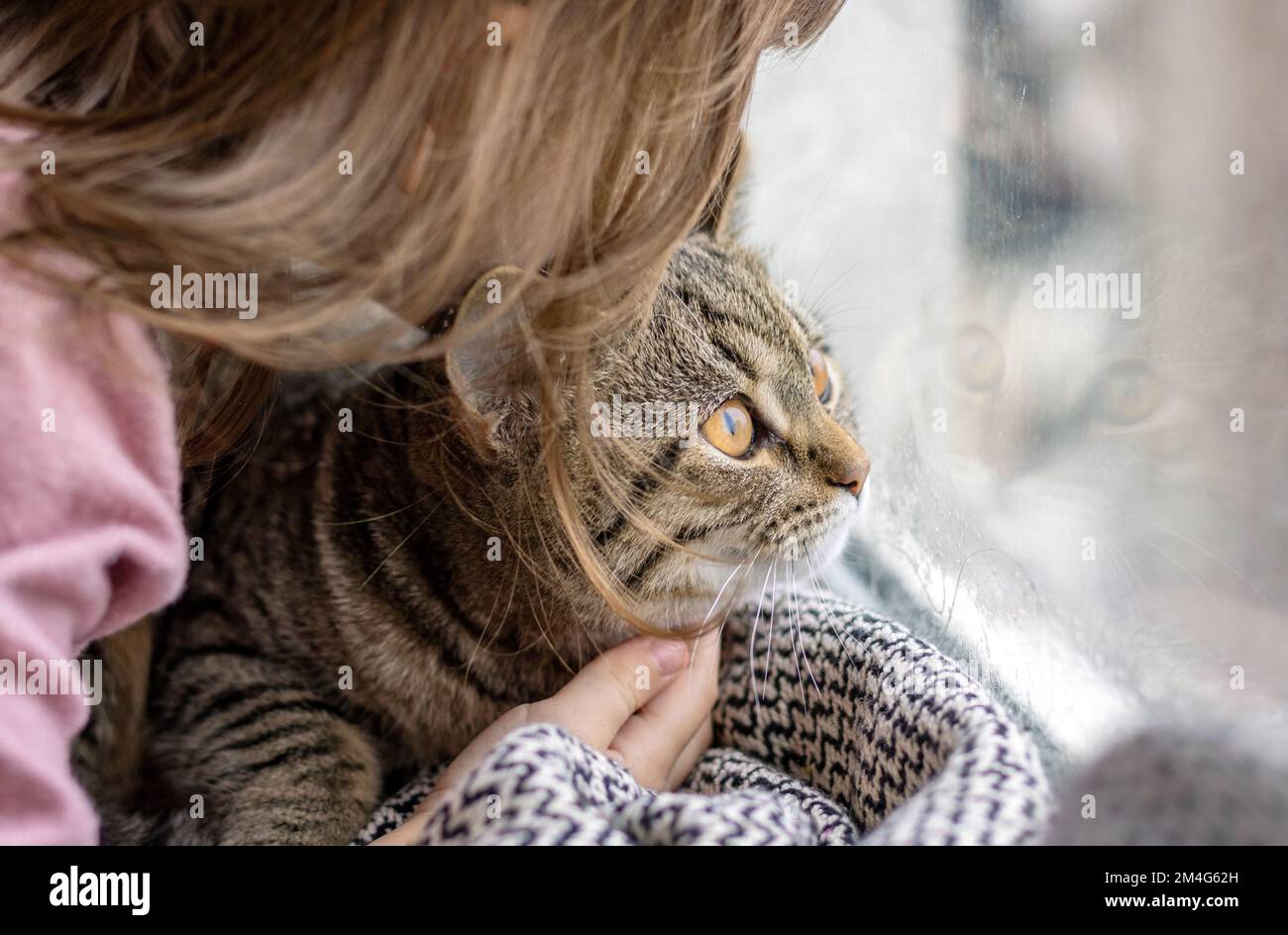 Kleines Mädchen umarmt Tabby Katzenkätzchen auf Fensterbank.Pussycat Reflexion in Fensterglas wie Spiegel.niedliche Haustierbeziehung zwischen Tieren Stockfoto