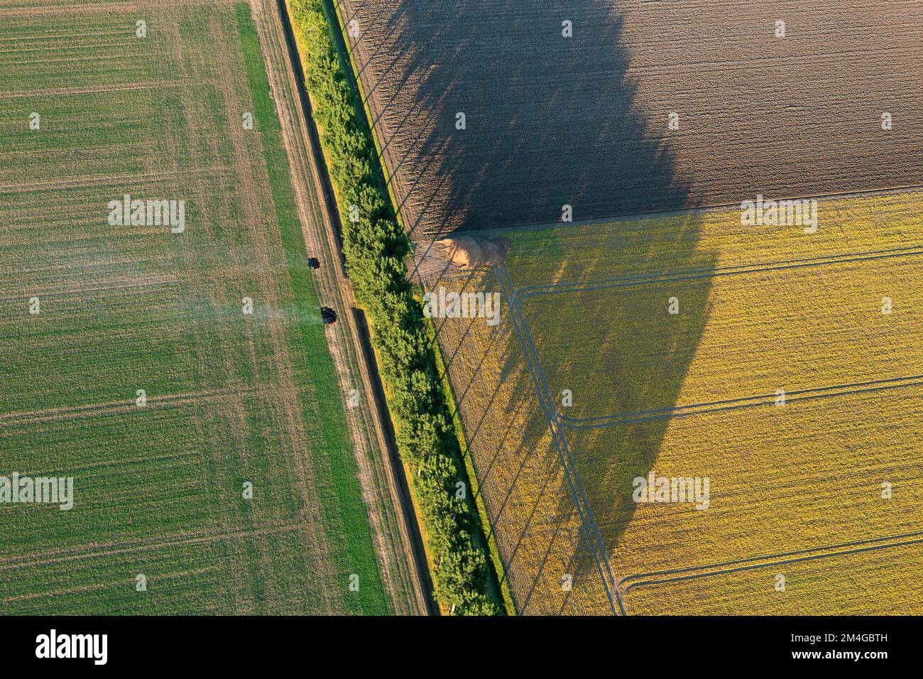 Feldlandschaft im Hedwipolder, Luftaufnahme, Belgien, Antwerpen Stockfoto
