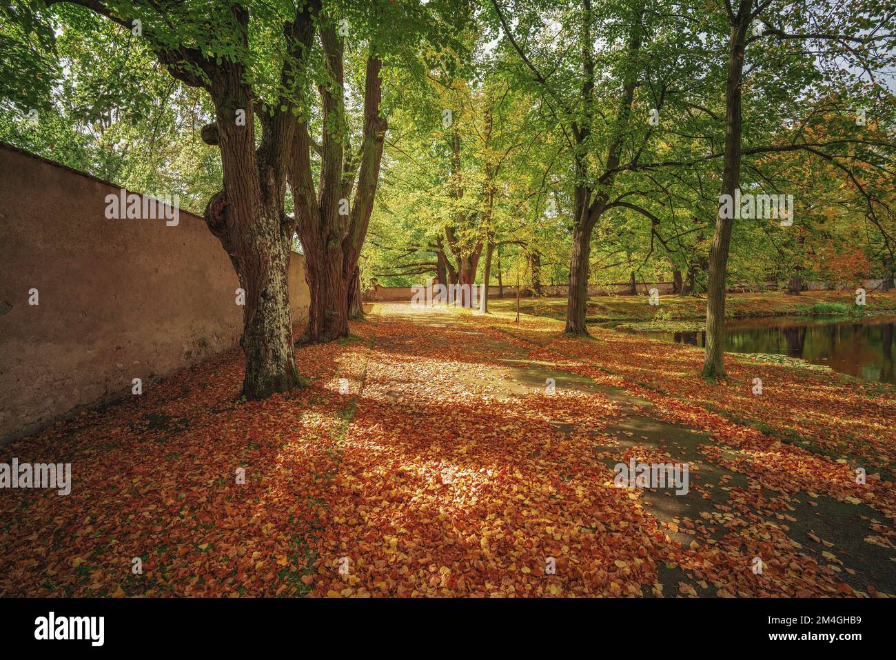 Burggarten Cesky Krumlov mit Herbstlaub - Cesky Krumlov, Tschechische Republik Stockfoto