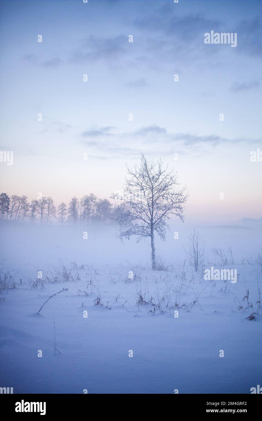Wunderschöner nebiger Sonnenuntergang im Winterwunderland Finnland Stockfoto