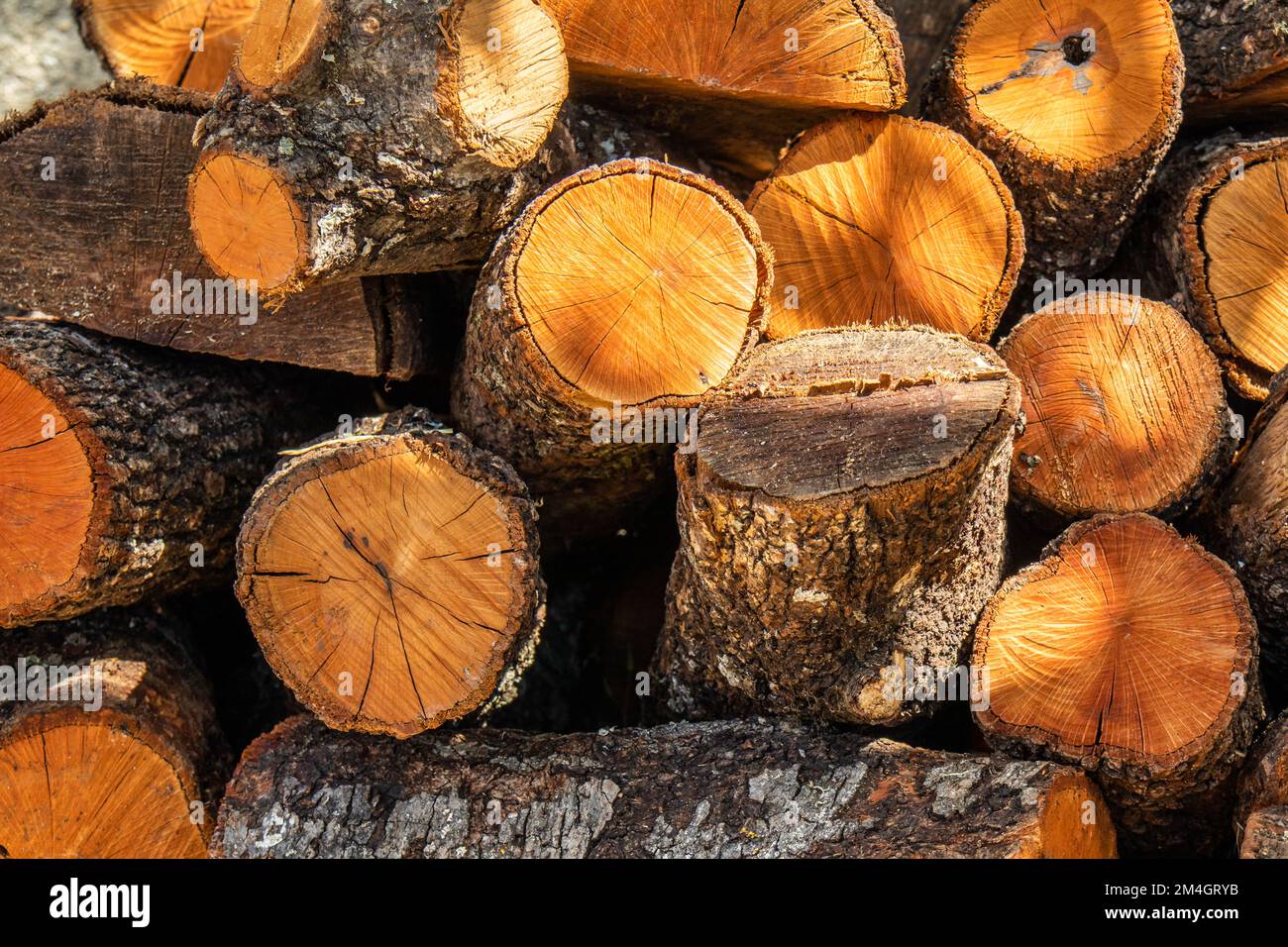 Leña cortada en trozos para la chimenea Stockfoto