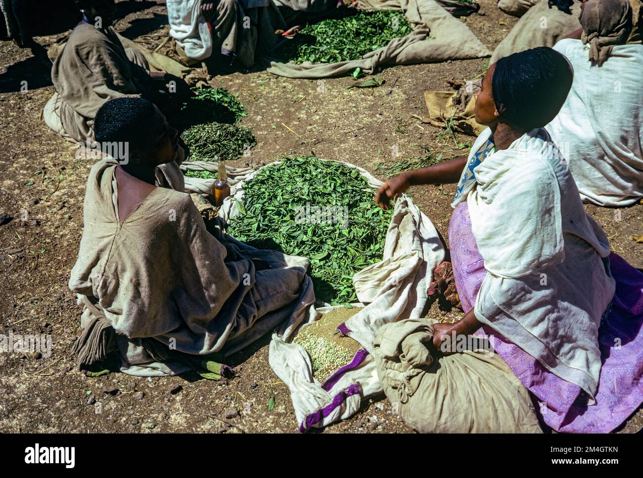 Äthiopien, 1970er, Lalibela Open-Air-Markt, Frauen, die Khat-Blätter verkaufen, Amhara-Region, Ostafrika, Stockfoto