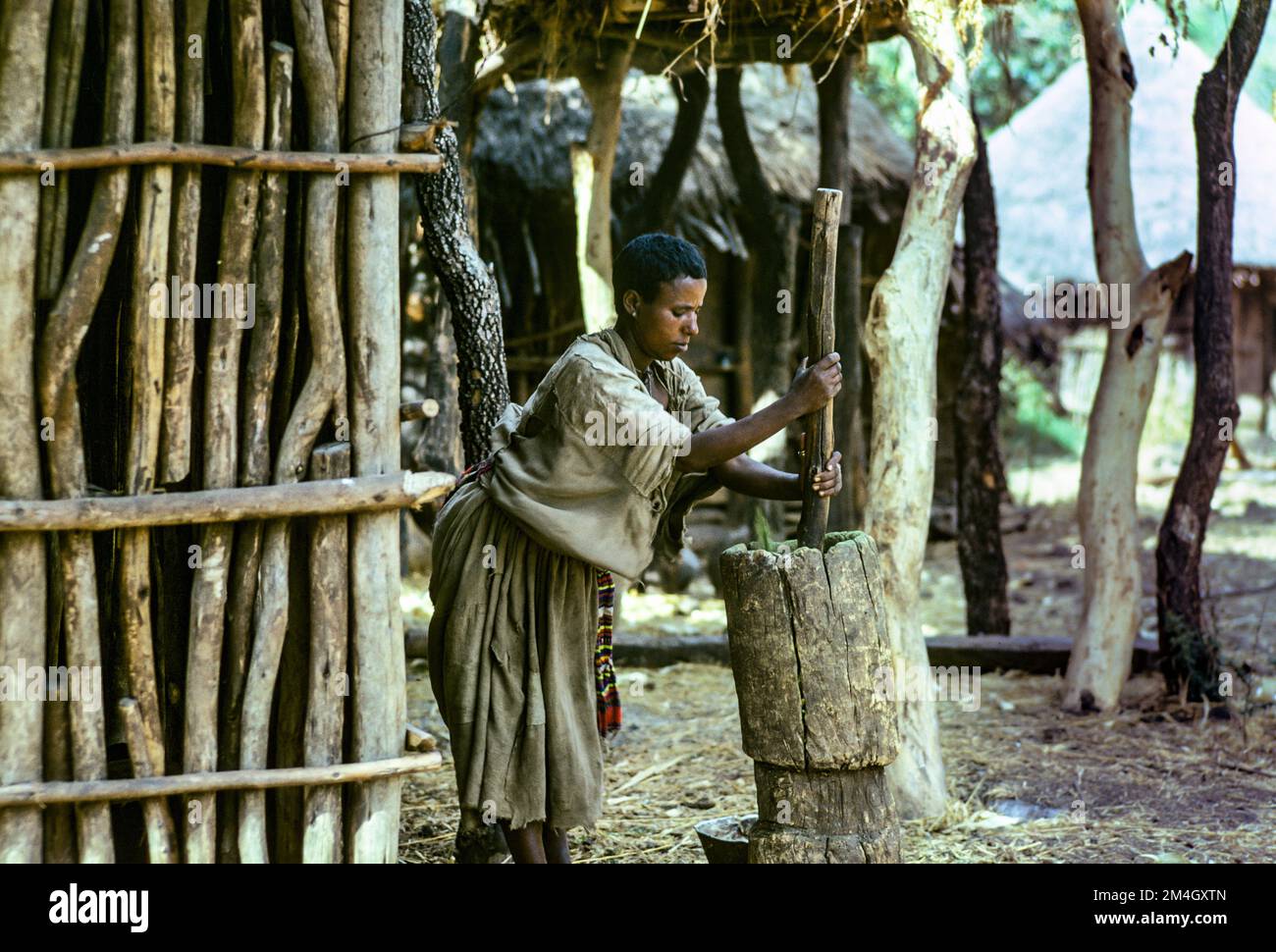 Äthiopien, 1970er, Frau, die Teff-Körner mit Mörtel und Stößel zerkleinert, Dorf Tisat, Region Amhara, Ostafrika, Stockfoto