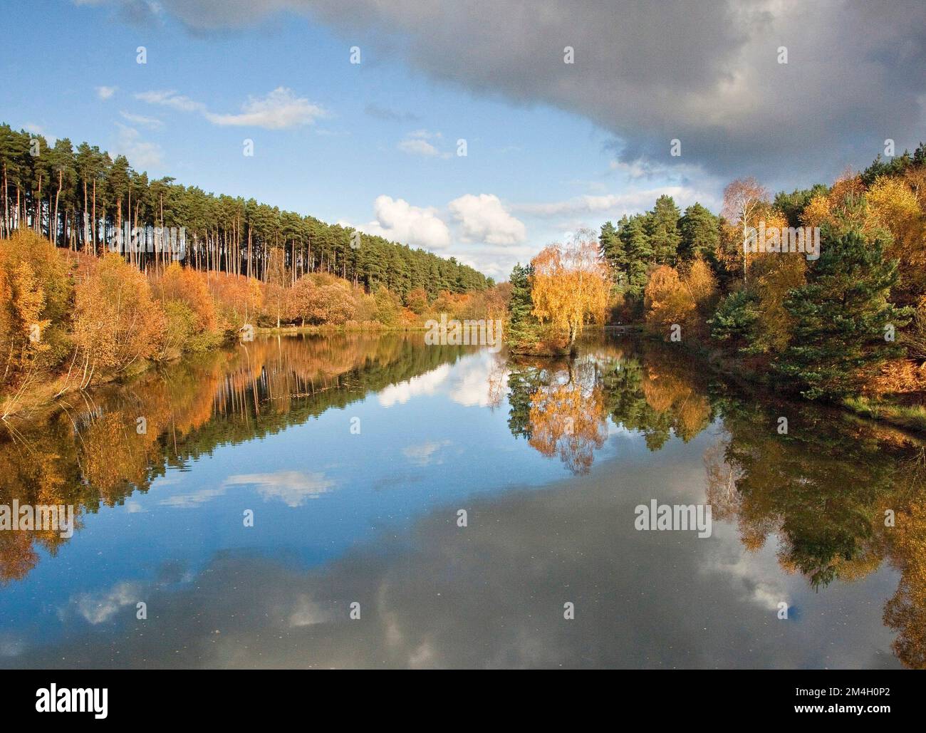 Fair Oak Pool im Spätherbst Cannock Chase AONB (Gebiet von außergewöhnlicher natürlicher Schönheit) in Staffordshire England UK Stockfoto