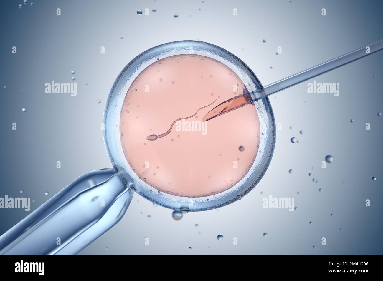 Künstliche Befruchtung oder in-vitro-Fertilisation. 3D-Abbildung Stockfoto