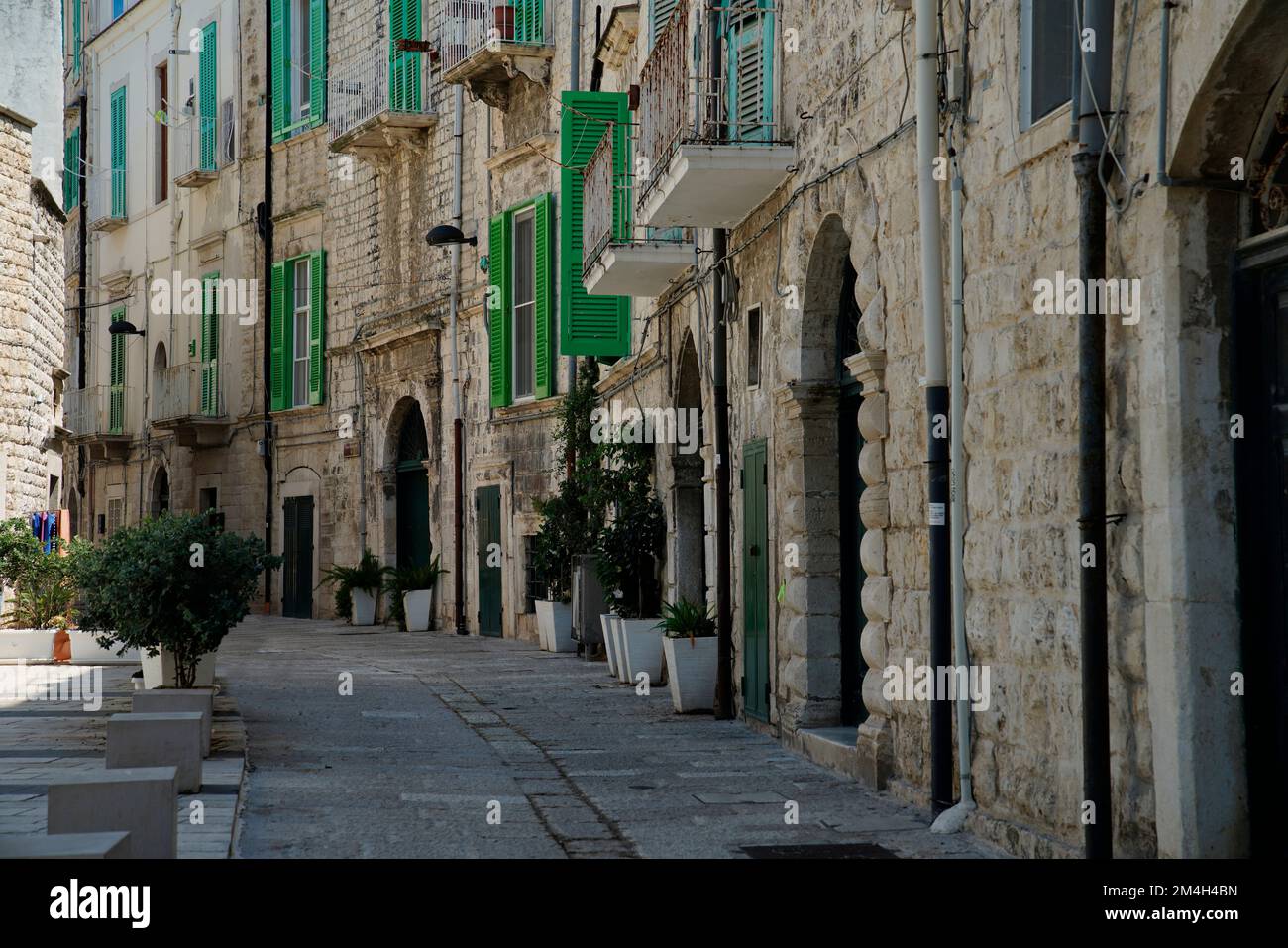 Allee, Molfetta, Provinz Bari, Region Apulien, Italien Stockfoto