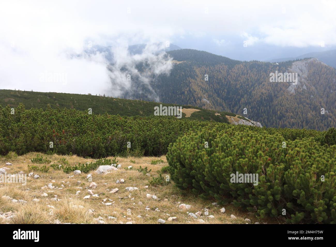 Um Die Wiener Alpen Herum Stockfoto