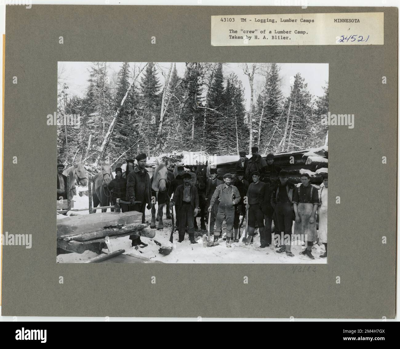 Holzfällerlager und -Crews - Minnesota. Fotografien zu National Forests, Resource Management Practices, Personal sowie Kultur- und Wirtschaftsgeschichte Stockfoto Holzfällerlager und -Crews - Minnesota. Fotografien zu National Forests, Resource Management Practices, Personal sowie Kultur- und Wirtschaftsgeschichte Stockfoto