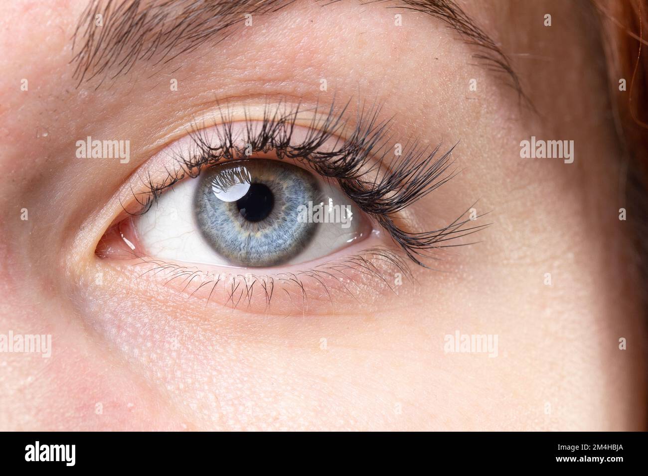 Nahaufnahme des blauen Auges eines Mädchens mit rotem Haar. Sehvermögen und Augenkrankheiten. Makelloses Auge eines kaukasischen Modells Stockfoto
