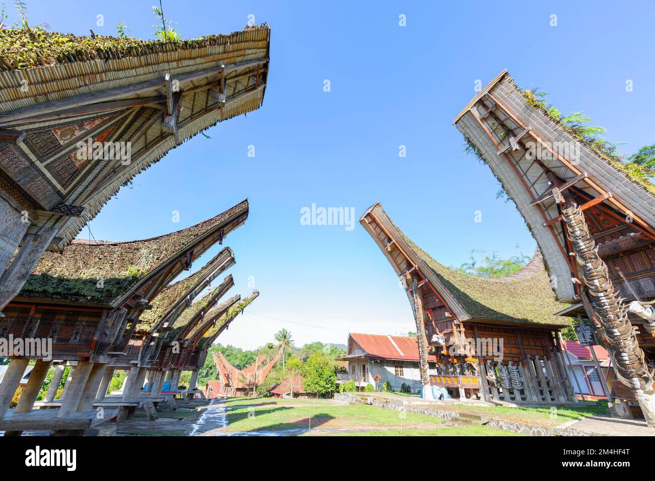 Tongkonan ist ein traditionelles Haus des Toraja-Stammes, das in der Regel als Reisscheune und Wohnort genutzt wird. Rauschen und körnige Bilder. Stockfoto