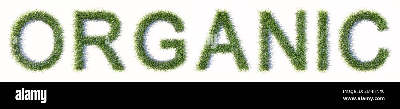 Konzeptionelle Grünrasengras, die das ORGANISCHE Wort bilden, isoliert auf weißem Hintergrund. 3D-Abbildung Metapher für Natur, Ökologie, Vegetarier Stockfoto