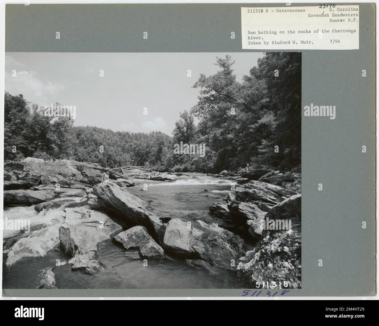 Flussszenen - South Carolina. Fotografien zu National Forests, Resource Management Practices, Personal sowie Kultur- und Wirtschaftsgeschichte Stockfoto