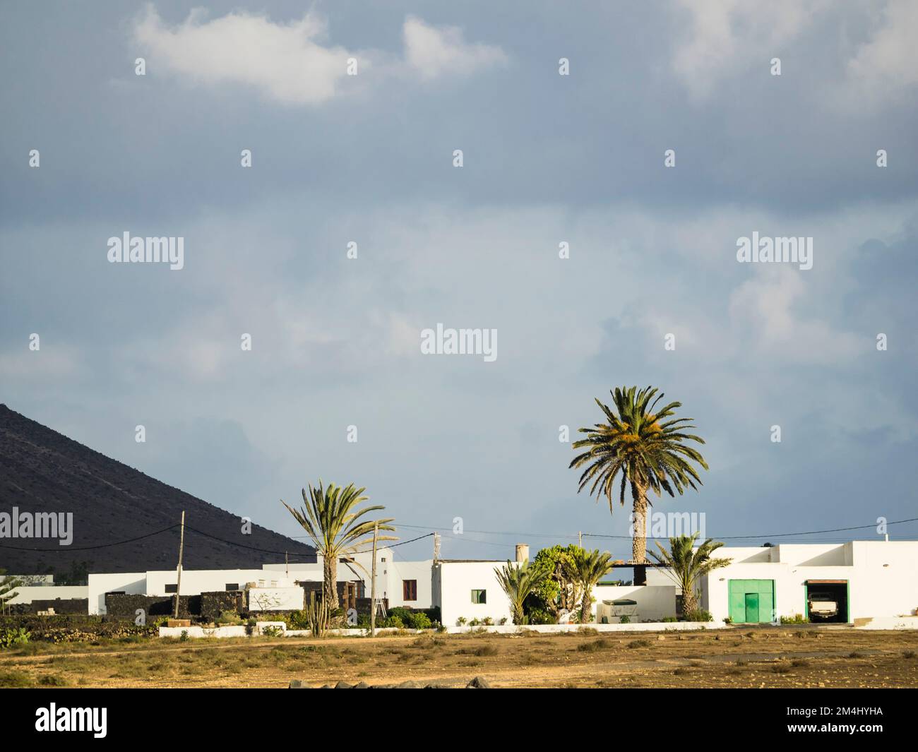 Wohnraum und Palmen, nördlich von Lanzarote, Kanarische Inseln, Spanien, Europa Stockfoto