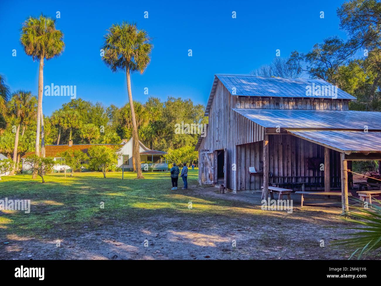 Scheune im Marjorie Kinnan Rawlings Historic State Park, ein authentisches Anwesen von Florida Cracker im Cross Creek Florida USA Stockfoto