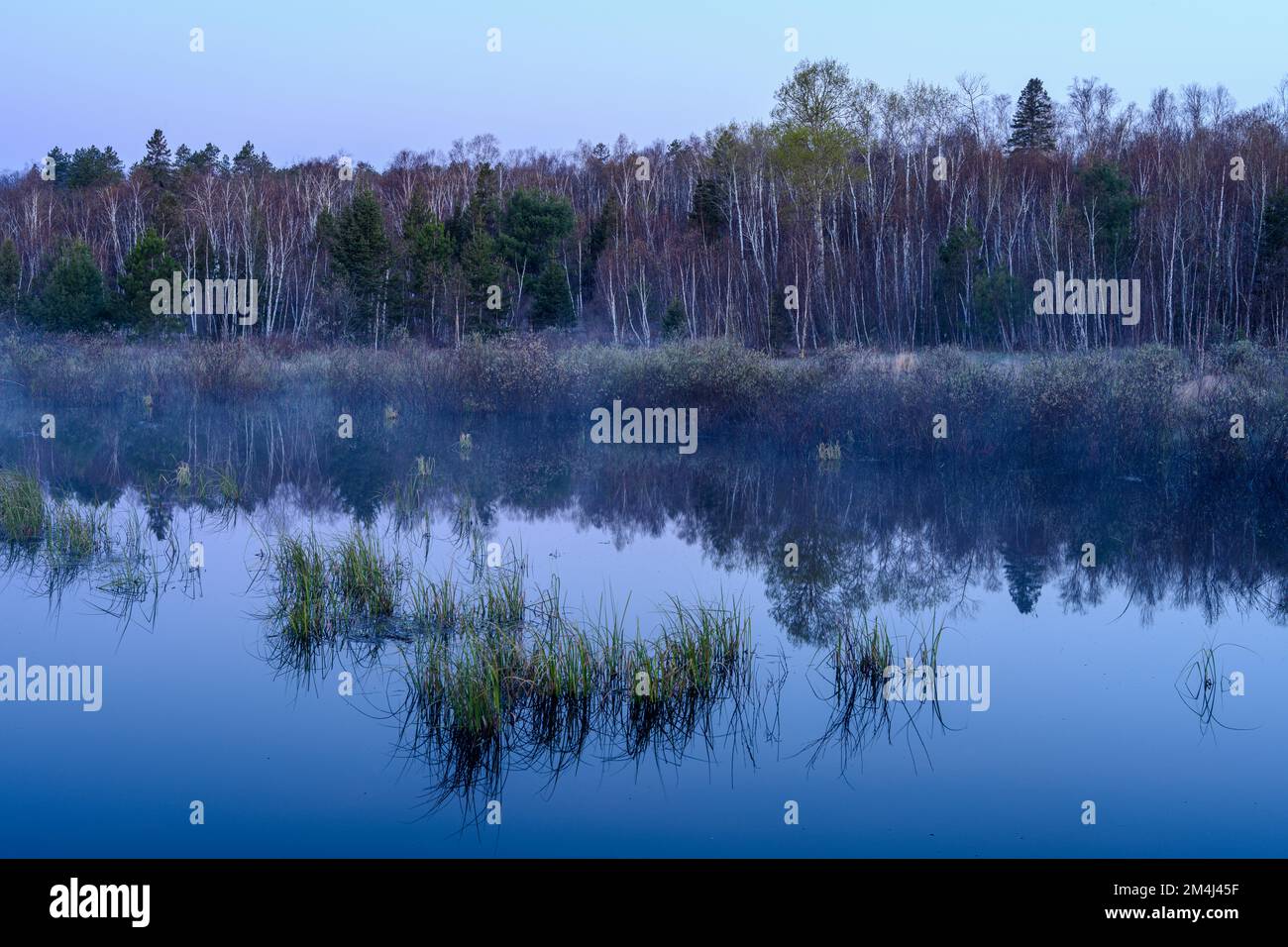 Morgennebel bei Sonnenaufgang auf einem Biberteich im Frühling, Greater Sudbury, Ontario, Kanada Stockfoto