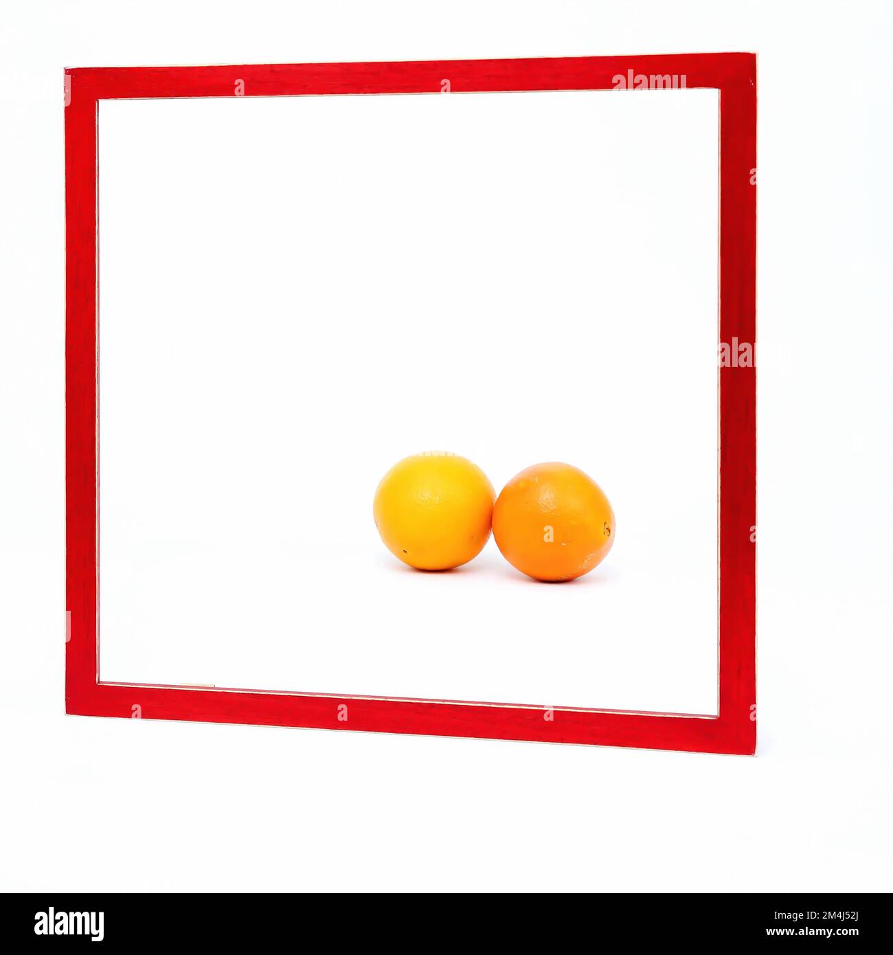 Quadratischer roter Rahmen auf weißem Hintergrund. Zwei Orangen liegen im Rahmen Stockfoto