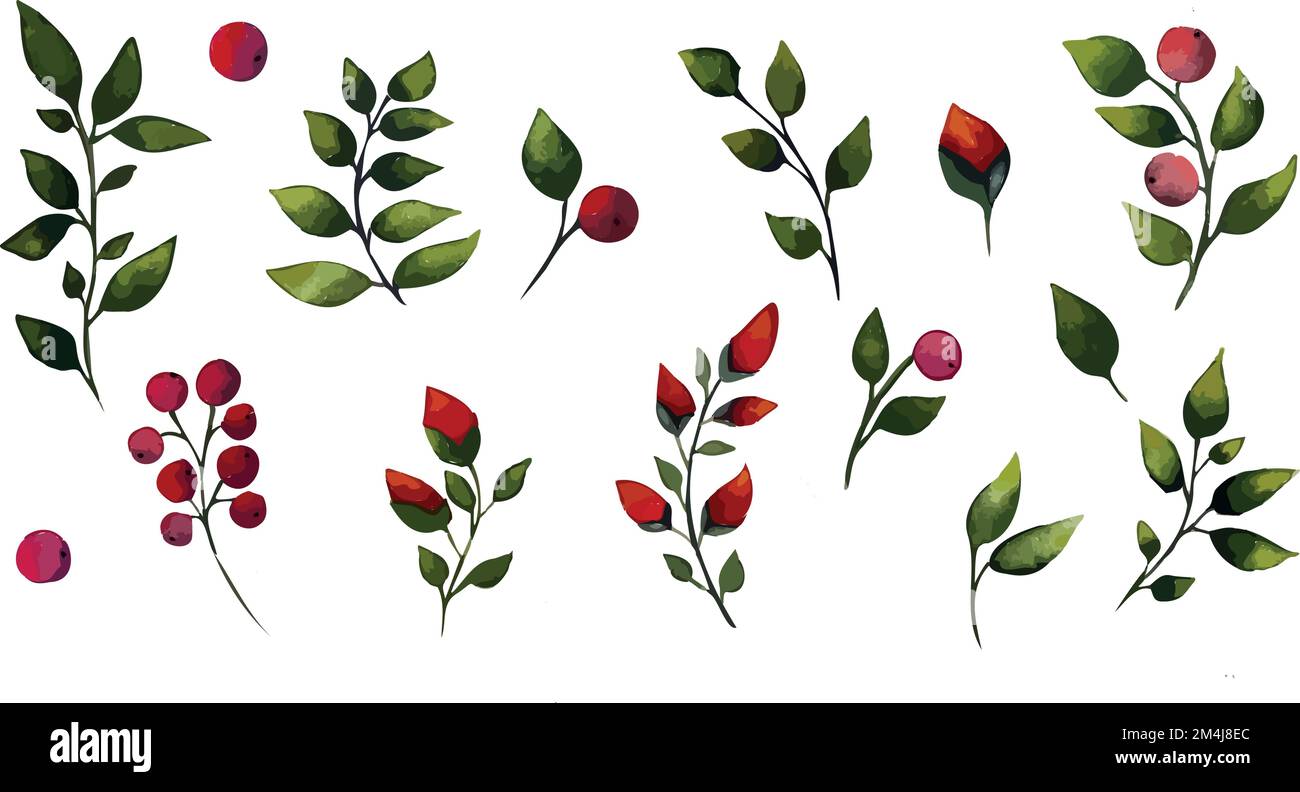 Satz stilisierter botanischer Vektorelemente aus Ästen, Knospen und Beeren. Stock Vektor