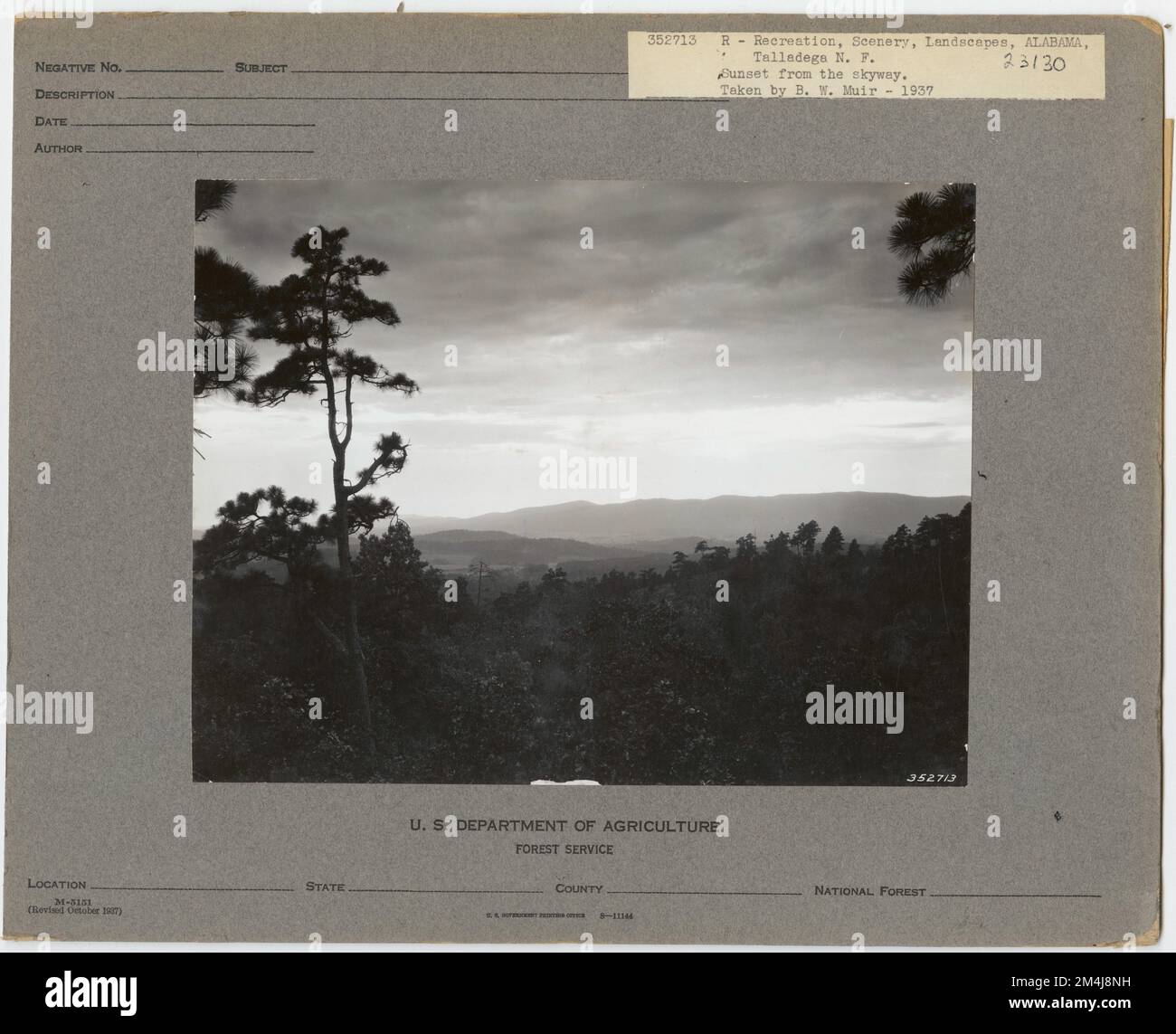 Landschaft und Landschaften - Alabama. Fotografien zu National Forests, Resource Management Practices, Personal sowie Kultur- und Wirtschaftsgeschichte Stockfoto Landschaft und Landschaften - Alabama. Fotografien zu National Forests, Resource Management Practices, Personal sowie Kultur- und Wirtschaftsgeschichte Stockfoto