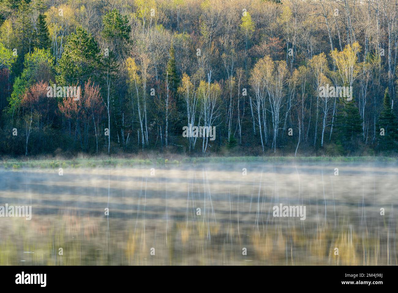 Frühling-Reflexionen in einem Biber Teich, Greater Sudbury, Ontario, Kanada Stockfoto